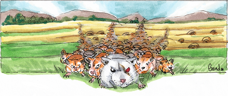 warhamster150